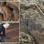 bones-found-inside-floor-of-16th-century-dutch-building-in-red-light-district:-report