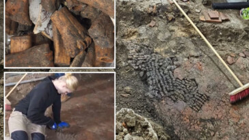 bones-found-inside-floor-of-16th-century-dutch-building-in-red-light-district:-report