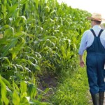 us-agriculture-primed-to-be-next-frontier-in-cybersecurity-in-new-year,-experts,-lawmakers-say