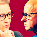 after-musk-public-support,-afd’s-alice-weidel-overtakes-cdu-warmonger-friedrich-merz-in-the-race-for-next-german-chancellor:-poll