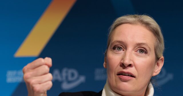 populist-afd-leader-alice-weidel-surges-to-top-of-german-chancellor-polls-ahead-of-february-elections