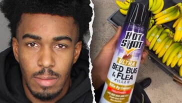 prankster-arrested-after-reportedly-filming-himself-spraying-food-at-walmart:-‘reckless’