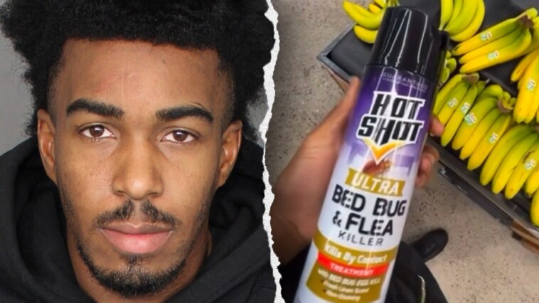 prankster-arrested-after-reportedly-filming-himself-spraying-food-at-walmart:-‘reckless’