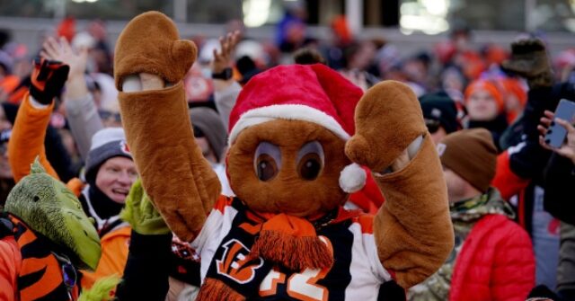 watch:-bengals-fan-wins-entire-stadium-free-pizza-after-kicking-40-yard-field-goal