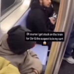 video-shows-moment-cops-swarm-train-to-arrest-migrant-accused-of-setting-subway-rider-on-fire