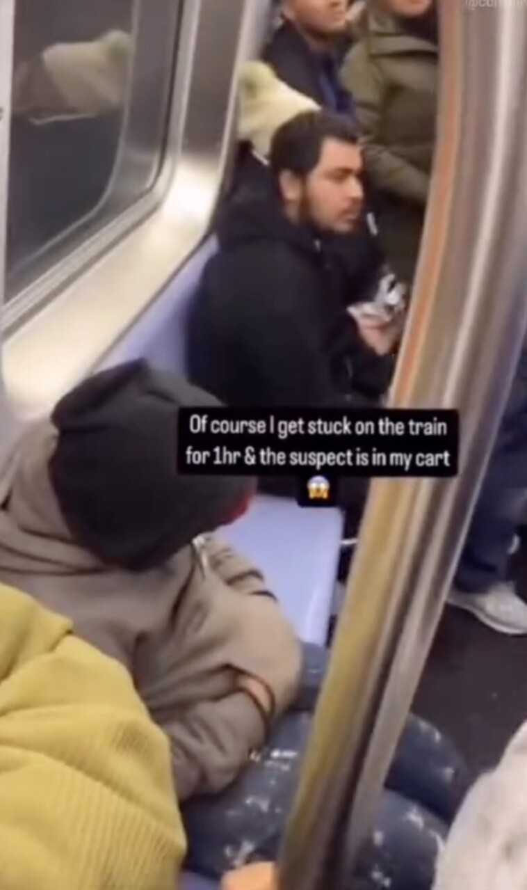 video-shows-moment-cops-swarm-train-to-arrest-migrant-accused-of-setting-subway-rider-on-fire