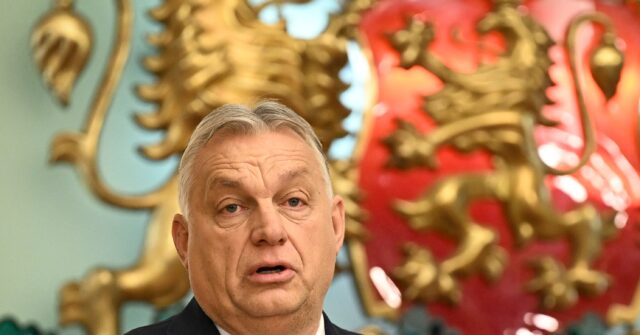 hungary’s-orban-slams-brussels’-‘idiotic-rules’-on-immigration