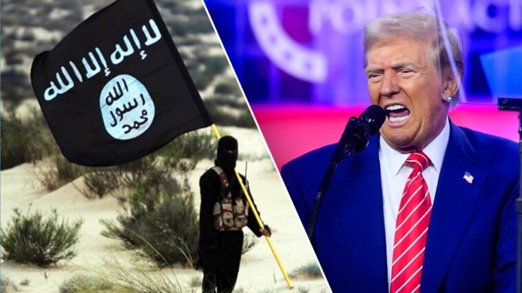 trump-could-face-renewed-isis-threat-in-syria-as-turkey-goes-after-us-ally