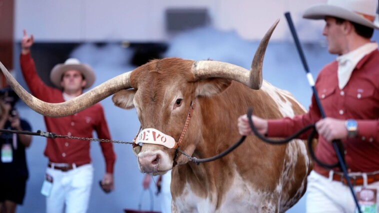 no-bevo:-texas-mascot-won’t-travel-to-atlanta