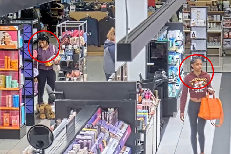 police-video-shows-busted-thieves-baffled-by-‘new-laws’-in-california-that-make-shoplifting-a-felony