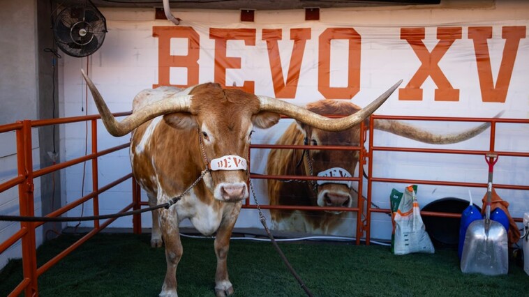 texas-football-mascot-bevo-barred-from-sidelines-of-upcoming-cfp-game,-organizers-say