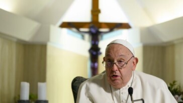 pope-francis-decries-‘environmental-decay’-in-peace-message