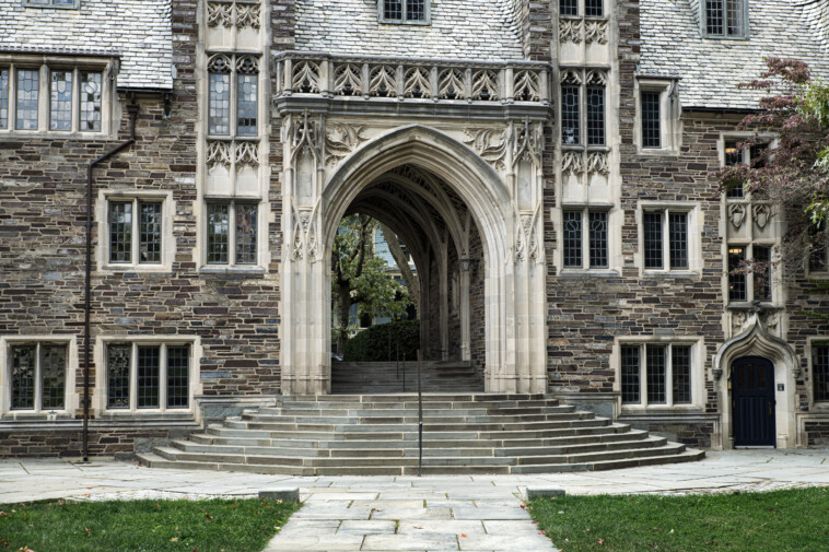 princeton-to-offer-classes-on-erotic-dance,-sex-work,-and-‘queer-spaces’