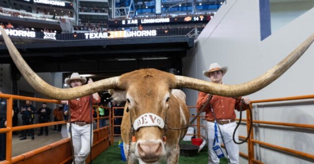 legendary-texas-mascot-‘bevo’-banned-from-upcoming-college-football-playoff-game