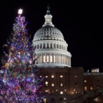 ugly-sweaters,-chicken-soup,-treasure-hunts:-lawmakers-share-their-favorite-christmas-traditions