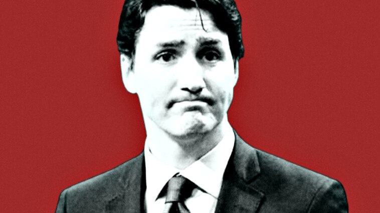 ‘there’s-no-alternative’:-over-50-mps-from-his-own-liberal-party-call-for-canadian-prime-minister-trudeau-to-step-down-before-opposition-topples-him-with-no-confidence-vote