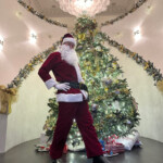 lean-looking-elon-musk-reveals-he’s-taking-mounjaro-for-weight-loss-in-festive-‘ozempic-santa’-post 