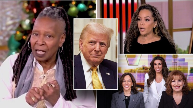 top-10-moments-on-‘the-view’-in-2024:-kamala-harris-bungles-on-biden,-co-hosts-struggle-to-reconcile-election