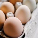 alert:-260,000-potentially-deadly-eggs-recalled-just-as-christmas-baking-season-hits