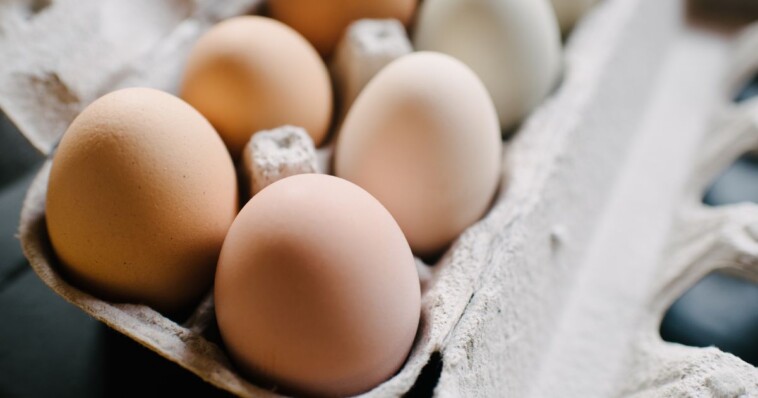 alert:-260,000-potentially-deadly-eggs-recalled-just-as-christmas-baking-season-hits