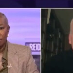 wackjob-joy-reid-claims-trump-answers-to-elon-musk,-who-answers-to-putin-(video)