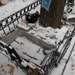 bizarre-nyc-street-aquarium-closed-because-of-cold,-snow-—-but-locals-say-fish-were-stashed-in-secret-location