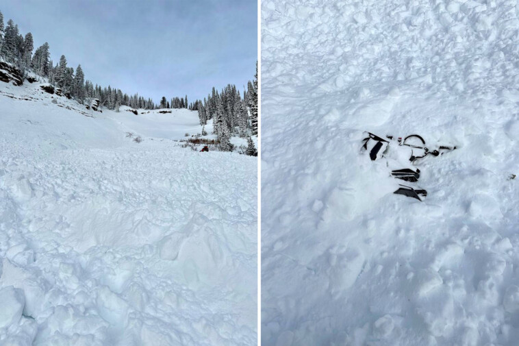 snowmobiler-saves-brother-from-avalanche-in-utah-in-dramatic-rescue-after-being-tossed-nearly-150-yards:-‘christmas-miracle’