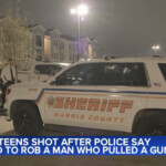 three-boys-as-young-as-12-shot-by-man-they-tried-to-rob-at-gunpoint-on-christmas-night:-cops