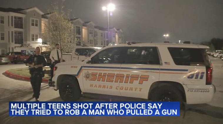 three-boys-as-young-as-12-shot-by-man-they-tried-to-rob-at-gunpoint-on-christmas-night:-cops