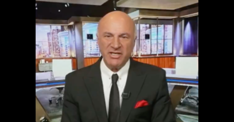 kevin-o’leary-slams-aoc-following-squad-member’s-attack-on-elon-musk:-“she’s-one-of-the-worst-managers-i’ve-ever-seen”-(video)