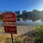 residents-warned-to-avoid-popular-australian-lake-after-gross-discovery