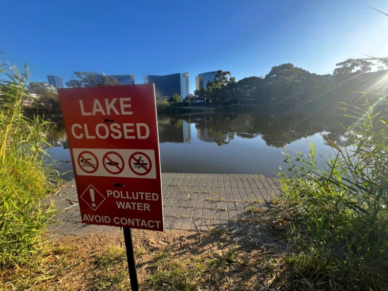 residents-warned-to-avoid-popular-australian-lake-after-gross-discovery