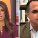 watch:-democrat-hack-gets-blown-up-by-fox-news’s-julie-banderas-when-he-mocks-elon-musk’s-partnership-with-trump-while-praising-joe-biden