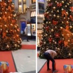 video:-the-time-global-warming-punks-ruined-christmas-tree-with-orange-paint,-across-7-different-cities