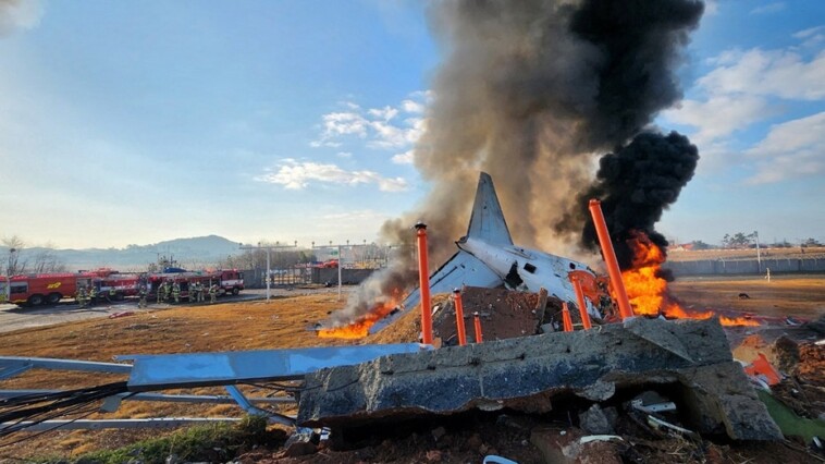 eyewitnesses-to-south-korea-plane-crash-recount-sparks-in-engine,-bird-strike-before-collision