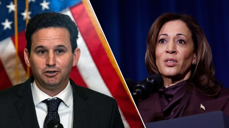 democratic-lawmaker-hits-kamala-harris,-dems-for-using-‘weird,’-unfamiliar-language-after-election-loss