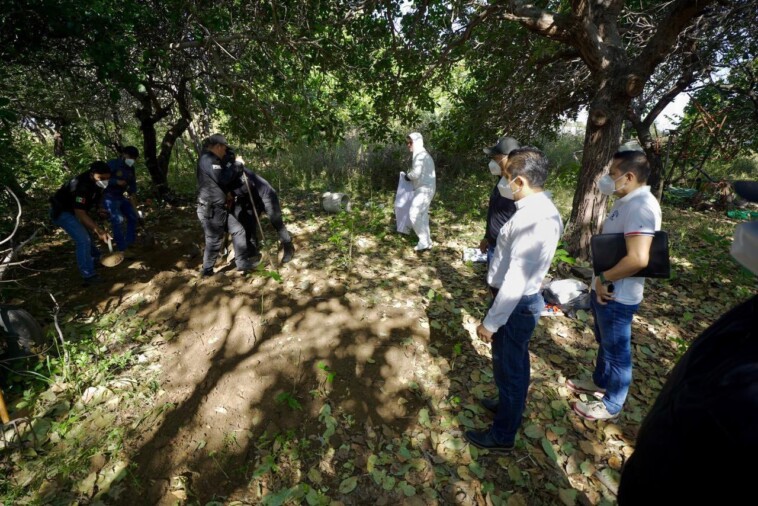 15-bodies-found-in-‘secret-graves’-in-southeastern-mexican-state-rocked-by-cartel-violence