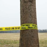 court-docs:-seattle-area-teens-tied-14-year-old-victim-to-tree-before-disemboweling-him