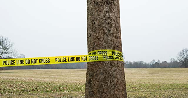 court-docs:-seattle-area-teens-tied-14-year-old-victim-to-tree-before-disemboweling-him