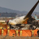 aviation-expert-casts-doubt-on-bird-strike-theory-in-deadly-south-korean-plane-crash:-‘doesn’t-make-sense’