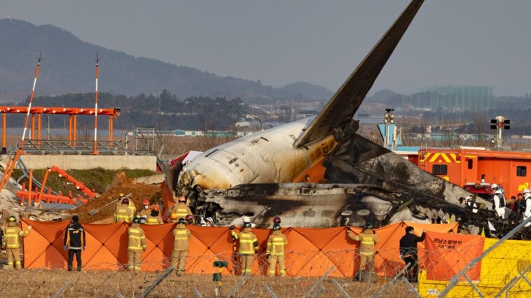 aviation-expert-casts-doubt-on-bird-strike-theory-in-deadly-south-korean-plane-crash:-‘doesn’t-make-sense’