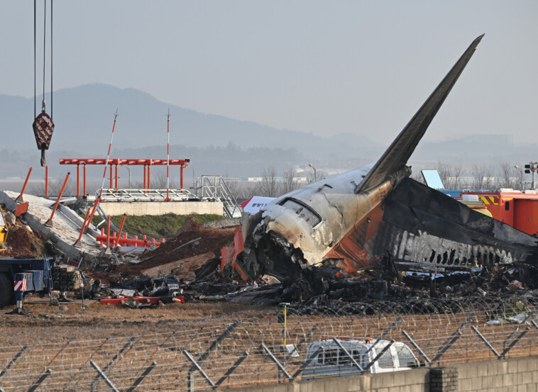 jeju-air-plane-turns-back-over-landing-gear-issues-a-day-after-horror-crash-killed-179