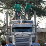 4-dead-after-tornadoes-rip-through-south-bringing-torrential-rain,-wind