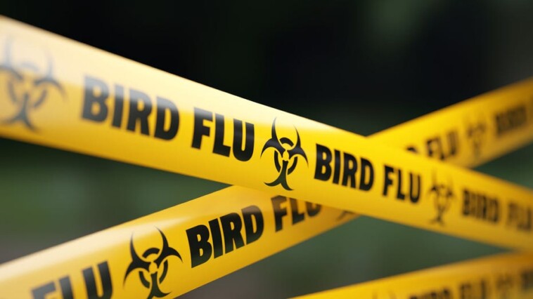 bird-flu-outbreak-expands,-more-michigan-poultry-facilities-exposed-to-virus