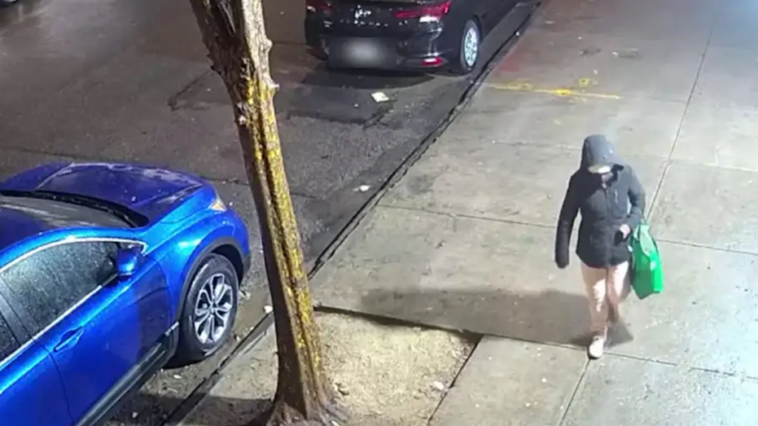 nypd-hunting-for-suspect-after-baby-abandoned-in-bag-on-nyc-street