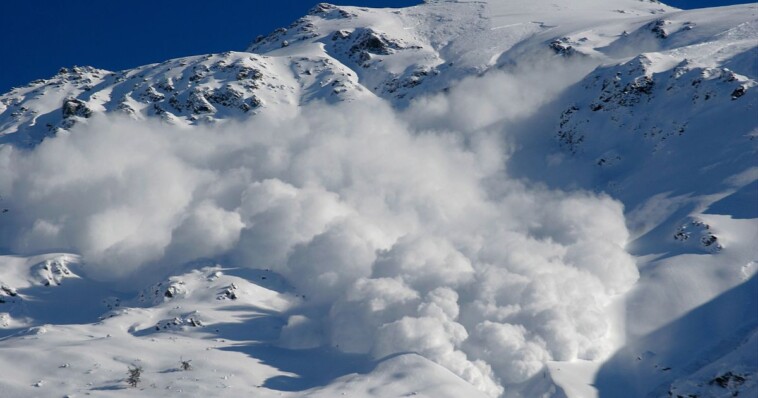 man-spots-something-strange-sticking-out-of-the-snow,-realizes-he-just-saved-his-brother