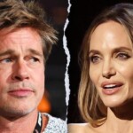 brad-pitt,-angelina-jolie-reach-divorce-settlement-after-bitter-8-year-legal-battle