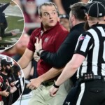 south-carolina-coach-shane-beamer-goes-berserk-on-illinois-coach-for-taunting-him-over-kickoff-controversy