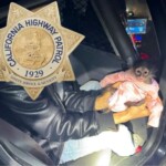 california-highway-patrol-gets-in-some-monkey-business-during-routine-stop