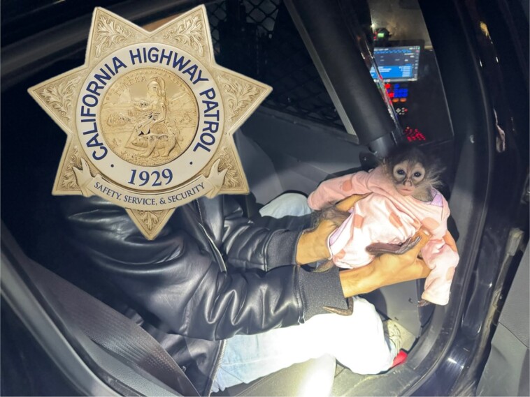 california-dui-suspect-busted-in-rolls-royce-—-with-baby-monkey-wearing-a-onesie-sitting-in-front-seat